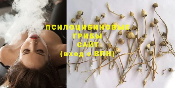 гашик Белоозёрский