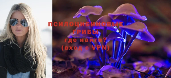 прущие крисы Белокуриха