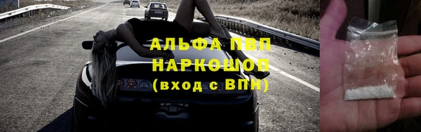 прущие крисы Белокуриха